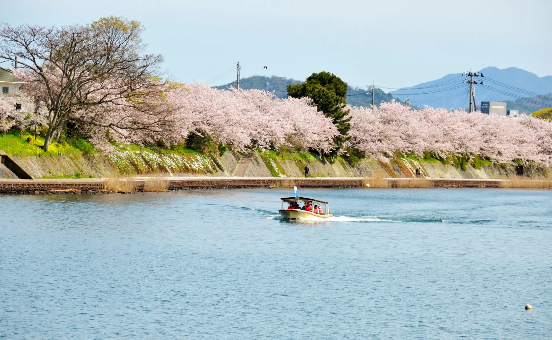 🚢 하기 팔경 유람선(하기핫케이유란센 노리바) 이미지 3